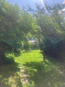a green yard with trees and a path at Spacious Apartment in Central Edinburgh in Edinburgh