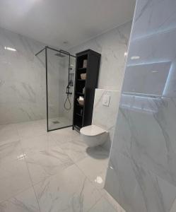 a bathroom with a shower and a toilet in it at Wonderful Seaview Apartment in Tromsø +25 photos