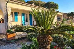 a palm tree in front of a house at Villa Meridiana 2 - a due passi dal mare in Trappola