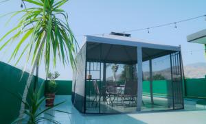 a glass house with a palm tree on the roof at Habitación nueva y cálida con serenidad en la terraza GARCÍA LÓPEZ in Oaxaca City