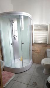 a bathroom with a shower and a toilet at Pensiunea Vila Dana in Cluj-Napoca