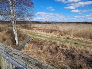 Gallery image of 4 person holiday home in Bredebro-By Traum in Bredebro +33 photos