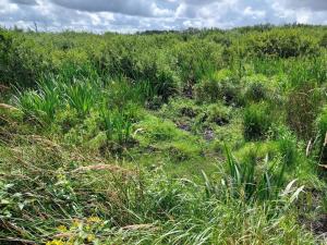 Gallery image of 4 person holiday home in Bredebro-By Traum in Bredebro