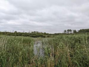 Gallery image of 4 person holiday home in Bredebro-By Traum in Bredebro