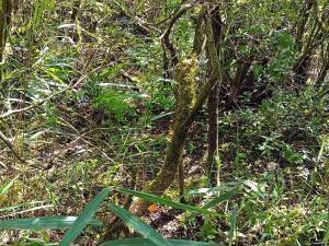 Gallery image of 4 person holiday home in Bredebro-By Traum in Bredebro