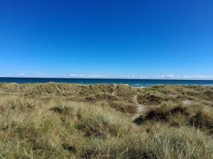 Gallery image of 4 star holiday home in Ålbæk in Ålbæk