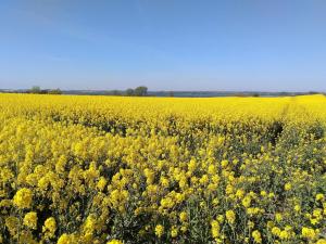 Fotografie z fotogalerie ubytování 5 person holiday home in Sydals v destinaci Trænge