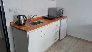 a kitchen counter with a sink and a microwave at El Atardecer Apart in Federación
