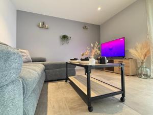 a living room with a couch and a tv at Appartement Le Cosy Proche Station Ski - Piscine in Saint Avre la Chambre
