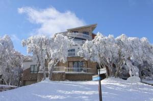 a building with snow covered trees in front of it at The Peak 202 in Mount Buller