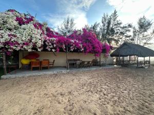 Landskap semula jadi dekat dengan resort