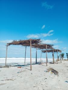 Природа в окрестностях апартаментов/квартиры