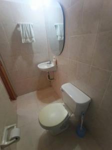a bathroom with a toilet and a sink and a mirror at Hermosa casa de sol Aragon 1 in Flandes