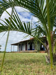 a house with a palm tree in front of it at Casa da Praia in São José do Norte