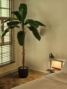 Fotografie z fotogalerie ubytování Oman beach house v destinaci Muscat