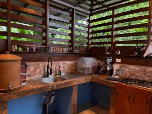 a kitchen with a sink and a counter top at Casa Osa Lion in Puerto Jiménez
