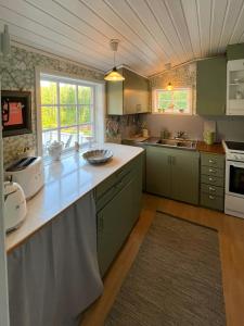 a kitchen with green cabinets and a counter top at Cosy Forest Cabin Near Bollnäs in Bollnäs