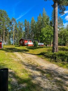 a dirt road leading to a red barn and a tree at Cosy Forest Cabin Near Bollnäs in Bollnäs +5 photos
