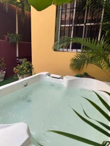 Fotografie z fotogalerie ubytování hermosa casa en la zona colonial v destinaci Santo Domingo