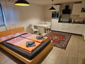 a bedroom with a bed and a table and a kitchen at Jollen Apartments in Friedrichshafen