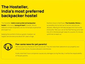 a yellow page of a website with a dog icon at The Hosteller Shimla in Shimla