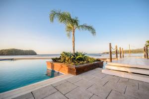 a swimming pool with a palm tree next to the ocean at Villa Paradise - Blue Venao 3BR in Playa Venao