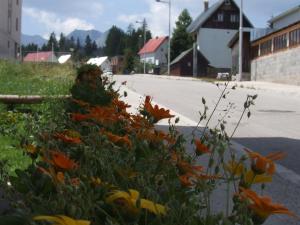 Il quartiere o una zona nella vicinanze dell'affittacamere