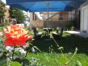 Giardino di Šćekić Accommodation