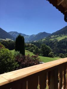 山景或在公寓看到的山景