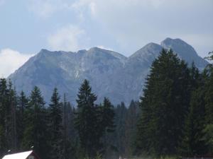 Paesaggio naturale nelle vicinanze dell'affittacamere