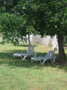 deux chaises longues assises sous un arbre dans l'herbe dans l'établissement Le Taruquet, à Eymet