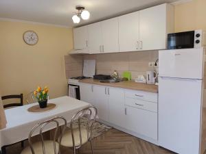 a kitchen with a white refrigerator and a table with chairs at Casa O&A in Cristian