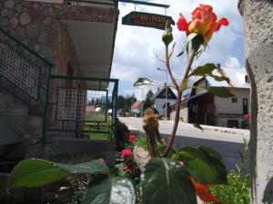 Giardino di Šćekić Accommodation