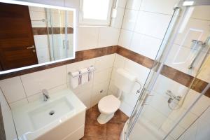 ein Bad mit einem WC, einem Waschbecken und einer Dusche in der Unterkunft Luxury apartment Lavande in Pridraga