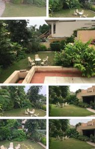 Κήπος έξω από το DHA House