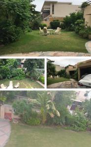 Κήπος έξω από το DHA House +1 φωτογραφίες