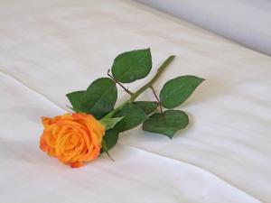 Postel nebo postele na pokoji v ubytování Hotel Beller