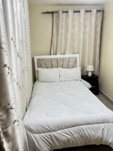 a bedroom with a white bed with a curtain at The insight homes in Nairobi