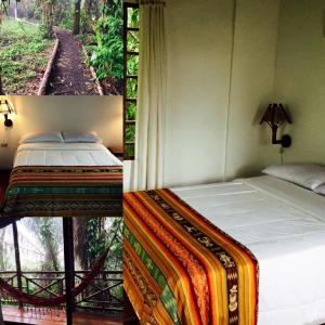 Pacoche Lodge في Pacoche: غرفة نوم بسرير وإطلالة على غابة