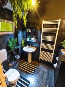 a bathroom with a sink and a toilet at Margarets Place in Braşov +53 photos