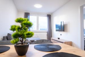 a living room with a table with a plant on it at Luxapartment ll Krivá in Košice