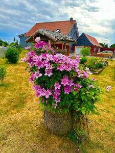 a pot of pink flowers in a yard at Ferienhaus Wiesenblick in Hüttenrode