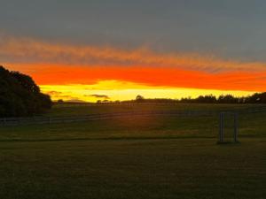 a fence in a field with a sunset in the background at Ferienhaus Wiesenblick in Hüttenrode