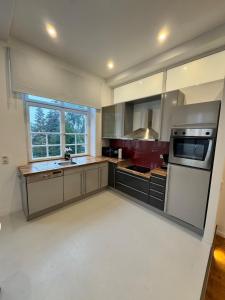 a large kitchen with stainless steel appliances and a window at Bavaria Home Modern Living in Geisenfeld