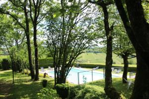 a view of a swimming pool through the trees at Hôtel Restaurant La Montagne De Brancion in Martailly-lès-Brancion