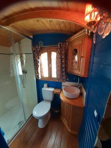 mała łazienka z toaletą i umywalką w obiekcie Roulotte appartement Cosy w mieście Brennes +2 zdjęcia