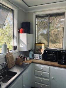 eine Küche mit einer Spüle und einer Mikrowelle sowie 2 Fenster in der Unterkunft Thronum Cottage in Mangoplah + 10 Fotos