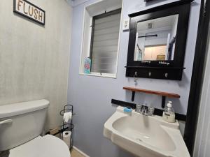 a bathroom with a white toilet and a sink at Villa Margarita in Lanark Village +15 photos