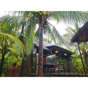 Ban Tha MaphraoにあるCheewatra Farmstay Coconut Houseの前にヤシの木がある建物
