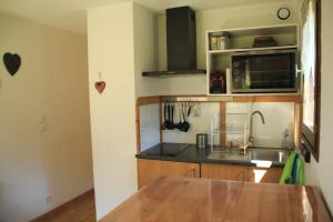a kitchen with a sink and a counter top at Toison Blanche TBC45 COSY & Mountain 4 Pers in Châtel +17 photos